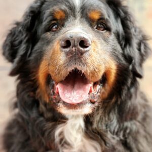 schoolfoto
